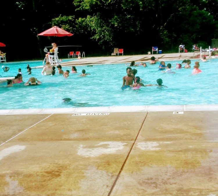 goslee-swimming-pool-photo